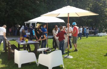 eveniment companie la piscina, teambuilding la piscina la padure, teambuilding la padure si piscina, eveniment corporate la TreeHOus eALgoon, organizator Ascendis