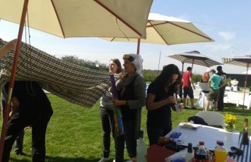 eveniment companie la piscina, teambuilding la piscina la padure, teambuilding la padure si piscina, eveniment corporate la TreeHOus eALgoon, organizator Ascendis