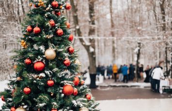 Petrecere de Craciun la TreeHouse Forest - Christmas party