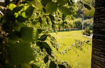 Locatii de nunta in aer liber - TreeHouse