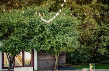 Locatii de nunta in aer liber - TreeHouse