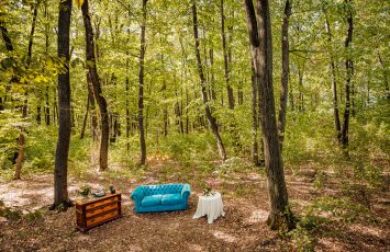 Locatii de nunta in aer liber - TreeHouse