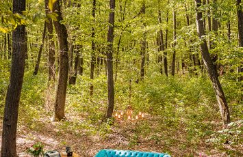 Locatii de nunta in aer liber - TreeHouse