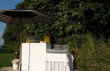Nunta de poveste la TreeHouse Lagoon, in aer liber, la piscina, locatie de nunta in aer liber