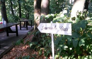 Nunta in natura, in aer liber, la piscina si padure, locatii de nunti in natura, locaite nunata in aer liber