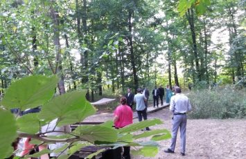 Nunta in natura, in aer liber, la piscina si padure, locatii de nunti in natura, locaite nunata in aer liber