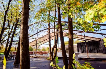 Nunta la padure piscina TreeHouse Lagoon