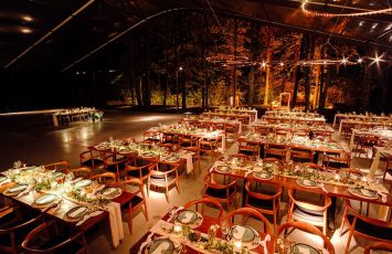 Nunta la padure piscina TreeHouse Lagoon