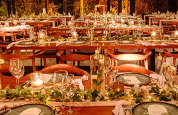 Nunta la padure piscina TreeHouse Lagoon