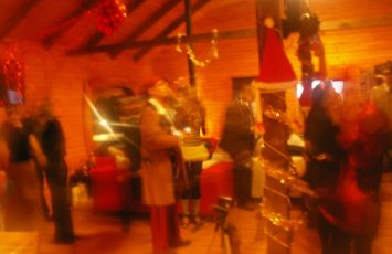 petrecere companie locatie treehouse 20
