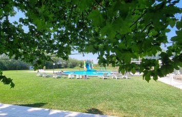 petrecere in natura la piscina