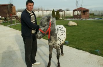 Petreceri copii, ponei, poneiul Arcibald, petrecere copiii in aer liber