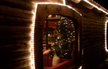 Revelion 2011, petreceri companii, p[etreceri copii la TreeHouse 