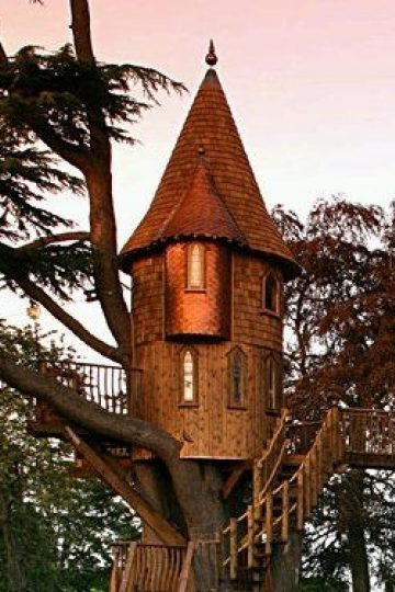 TreeHouse