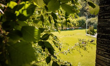 Locatii de nunta in aer liber - TreeHouse