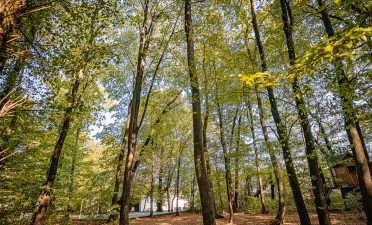 Locatii de nunta in aer liber - TreeHouse