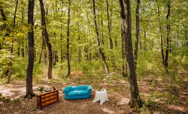 Locatii de nunta in aer liber - TreeHouse
