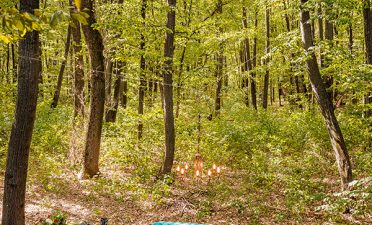 Locatii de nunta in aer liber - TreeHouse