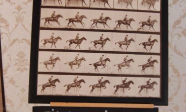 Locatie nunta in natura, la piscina aproape de Bucuresti - TreeHouse Lagoon, nunti memorabile, locatii de nunta