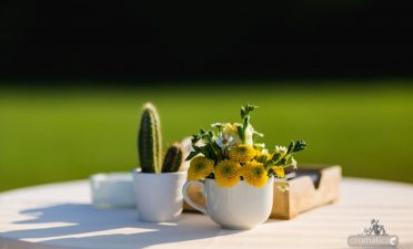 Nunta in aer liber, in natura , locatie de nunta in aer liber, aproape de Bucuresti