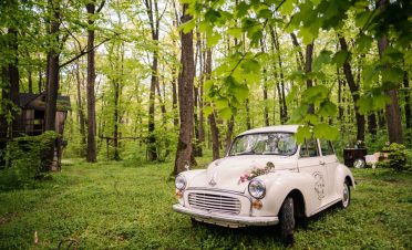 botez in padure in natura