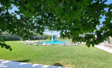petrecere in natura la piscina
