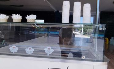 petrecere la piscina