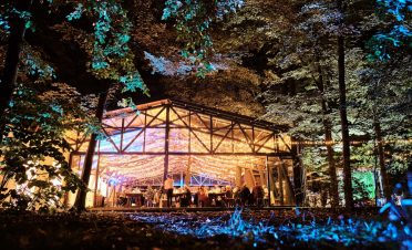 Nunta in padure - TreeHouse In The Woods