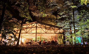 Nunta in padure - TreeHouse In The Woods