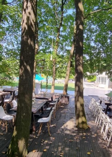 petrecere de copii la piscina in padure