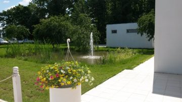 Locatie evenimente corporate, nunta in natrua in aer liber, locatie evenimente piscina (2)