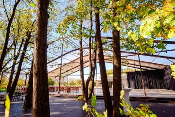 Nunta la padure, piscina TreeHouse LAgoon