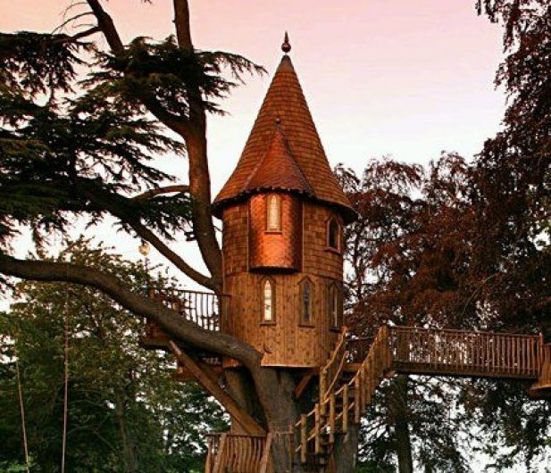 TreeHouse