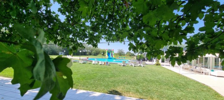 petrecere in natura la piscina