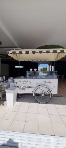 petrecere la piscina
