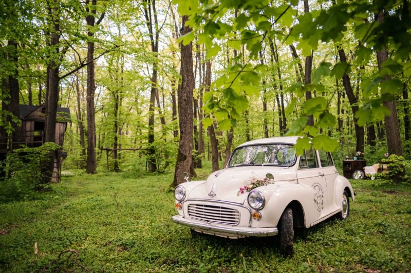 botez in padure in natura